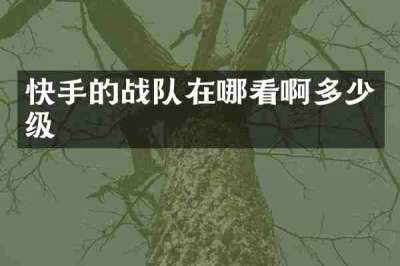 快手的战队在哪看啊多少级