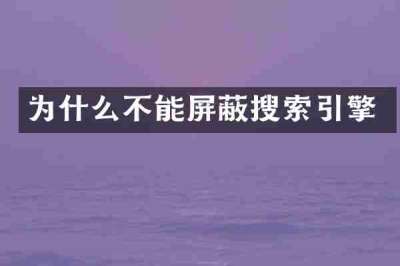 为什么不能屏蔽搜索引擎