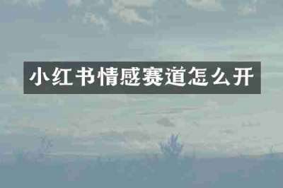 小红书情感赛道怎么开