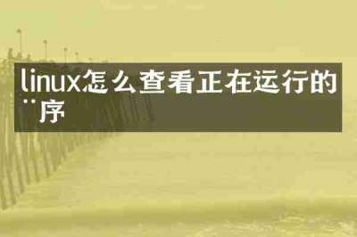 linux怎么查看正在运行的程序