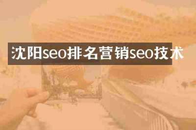 沈阳seo排名营销seo技术