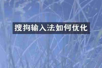 搜狗输入法如何优化