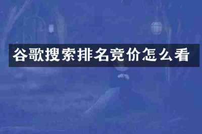 谷歌搜索排名竞价怎么看