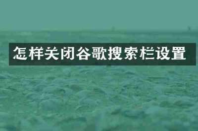 怎样关闭谷歌搜索栏设置