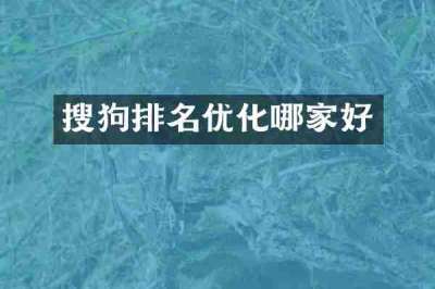 搜狗排名优化哪家好