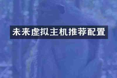 未来虚拟主机推荐配置