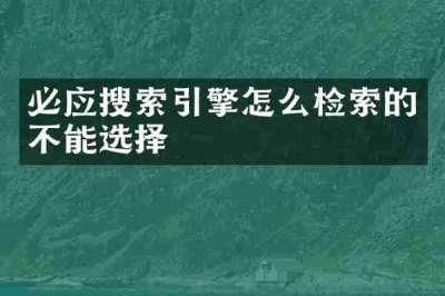 必应搜索引擎怎么检索的不能选择