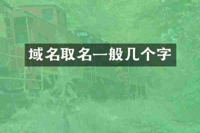 域名取名一般几个字