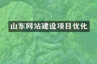山东网站建设项目优化