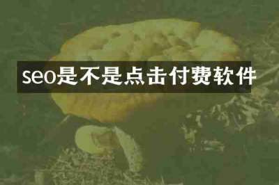 seo是不是点击付费软件