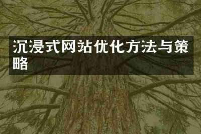 沉浸式网站优化方法与策略