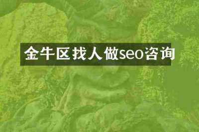 金牛区找人做seo咨询
