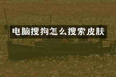 电脑搜狗怎么搜索皮肤