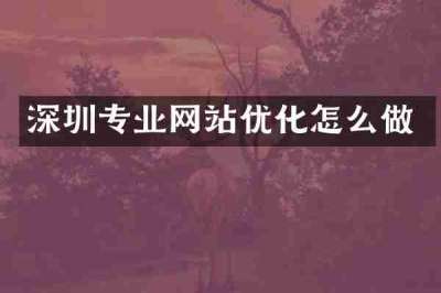 深圳专业网站优化怎么做