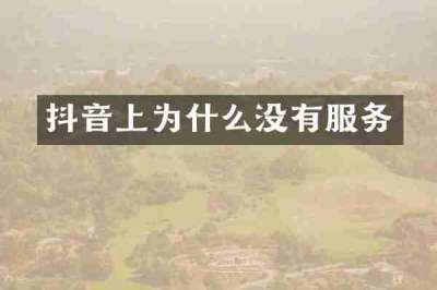 抖音上为什么没有服务