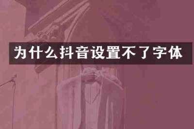 为什么抖音设置不了字体