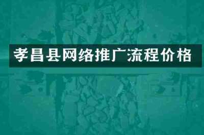 孝昌县网络推广流程价格