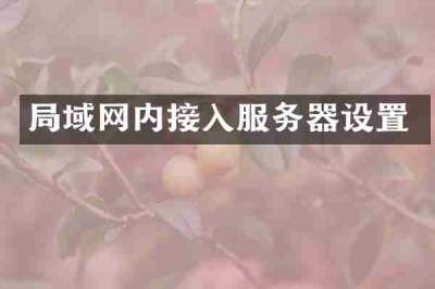 局域网内接入服务器设置