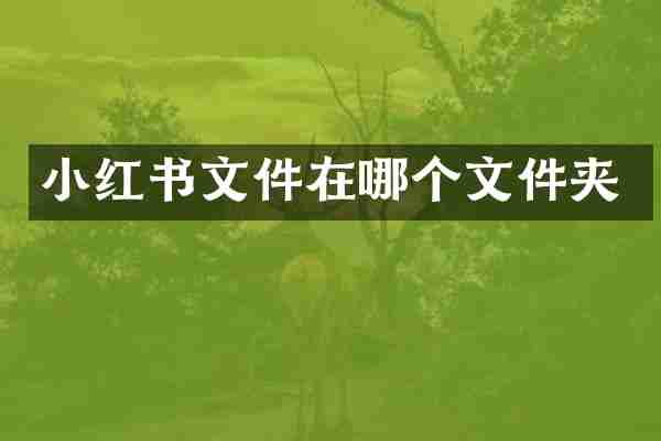 小红书文件在哪个文件夹