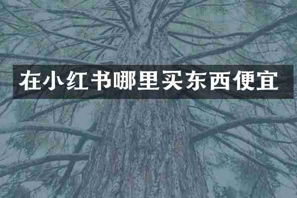 在小红书哪里买东西便宜