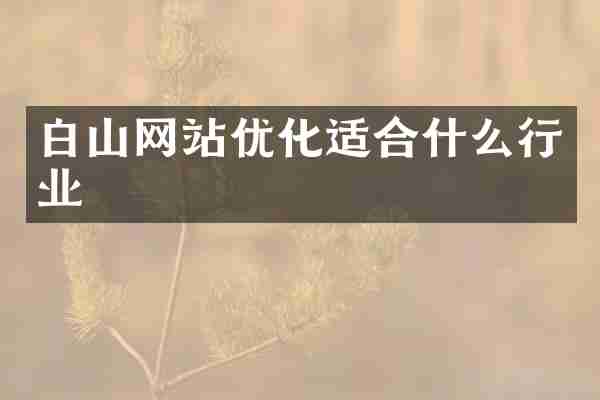 白山网站优化适合什么行业