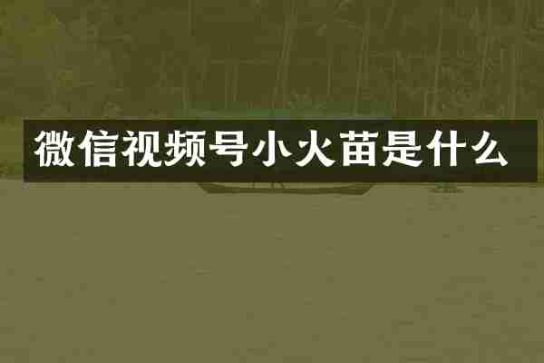 微信视频号小火苗是什么