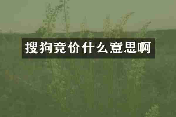 搜狗竞价什么意思啊