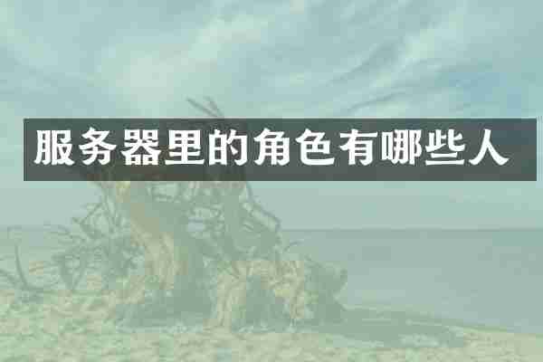 服务器里的角色有哪些人