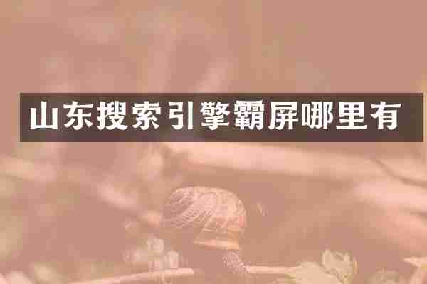山东搜索引擎霸屏哪里有
