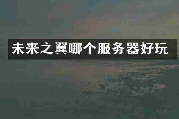 未来之翼哪个服务器好玩