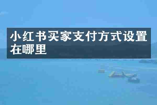小红书买家支付方式设置在哪里