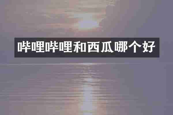 哔哩哔哩和西瓜哪个好