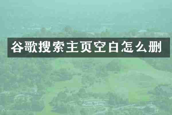 谷歌搜索主页空白怎么删