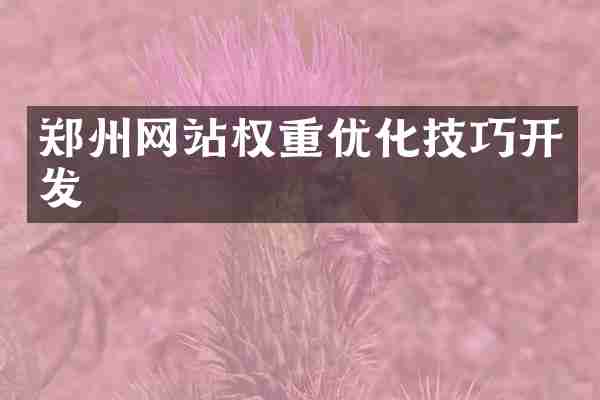 郑州网站权重优化技巧开发
