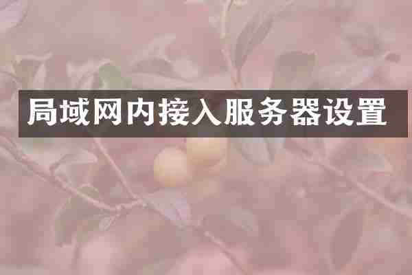 局域网内接入服务器设置