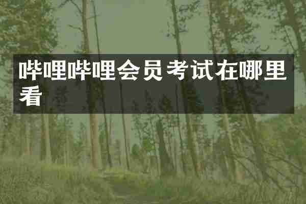 哔哩哔哩会员考试在哪里看