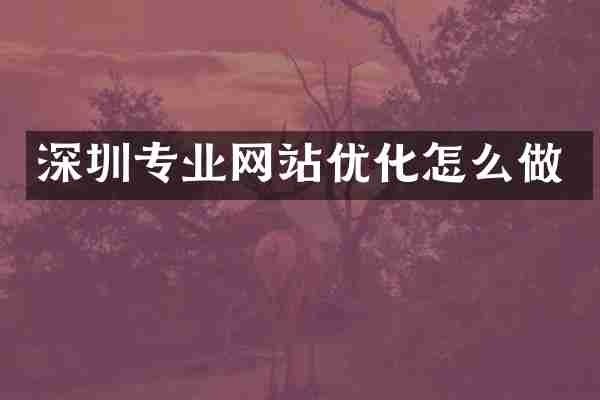 深圳专业网站优化怎么做