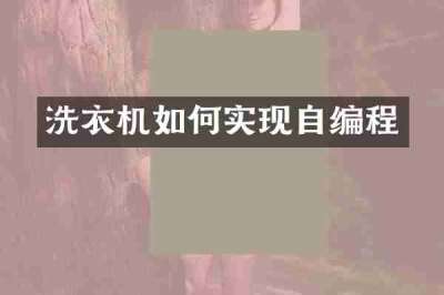 洗衣机如何实现自编程