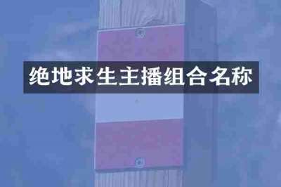 绝地求生主播组合名称