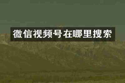 微信视频号在哪里搜索