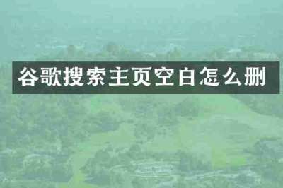 谷歌搜索主页空白怎么删