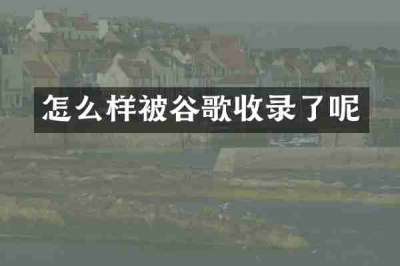 怎么样被谷歌收录了呢