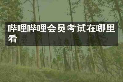 哔哩哔哩会员考试在哪里看