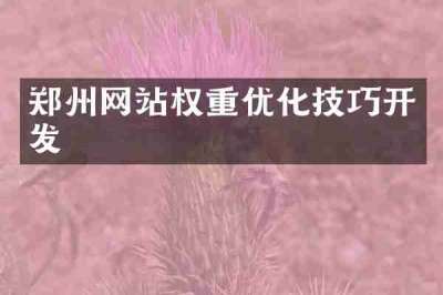 郑州网站权重优化技巧开发