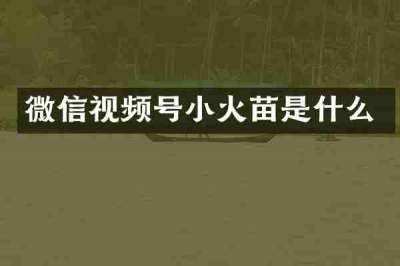 微信视频号小火苗是什么