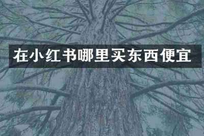 在小红书哪里买东西便宜