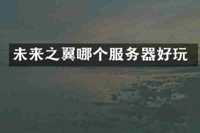 未来之翼哪个服务器好玩