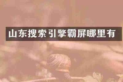 山东搜索引擎霸屏哪里有
