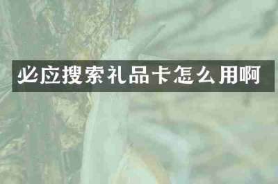 必应搜索礼品卡怎么用啊