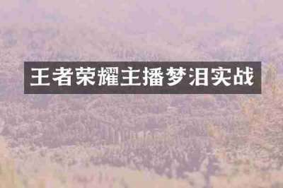 王者荣耀主播梦泪实战